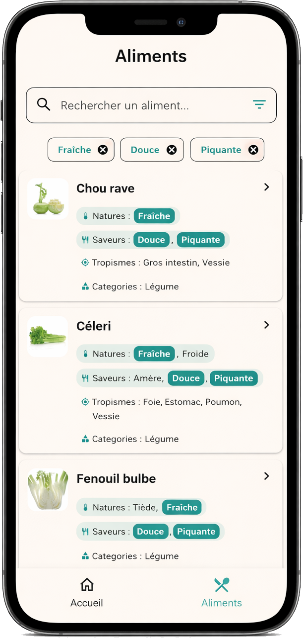 Application Yin Shi - Interface mobile de recherche d'aliments